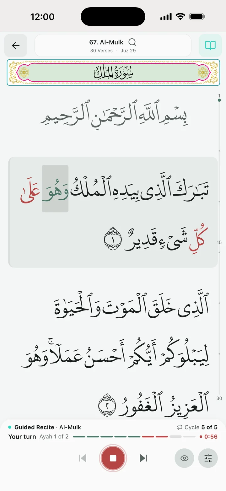 Guided Recite in the reader: your turn on ayah 1, with words marked as you recite